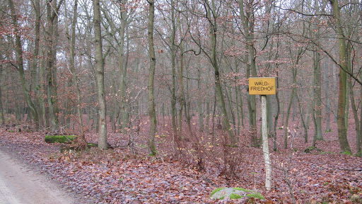 Waldfriedhof Eichenhain - Thumbnail