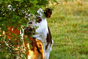Photo n°10 de Office de Tourisme Terre d'Auge à Pont-l'Evêque à Pont-l'Évêque (Point Wi-Fi)