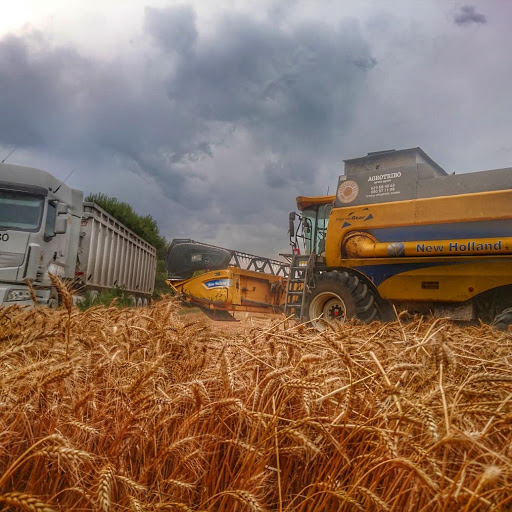 AGROTRIBO S,L - Visual