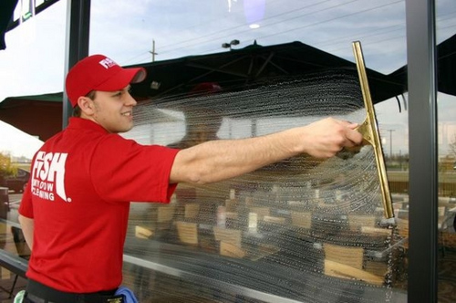 Fish Window Cleaning