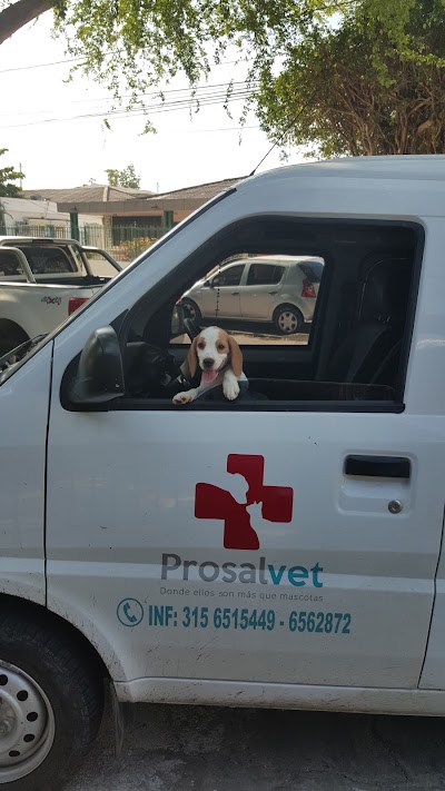Photos of Veterinaria Prosalvet Crespo