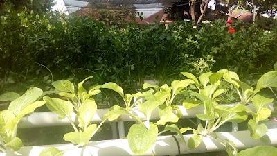 Photos of Hidroponik Shop