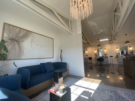 Olen Studio - Visual