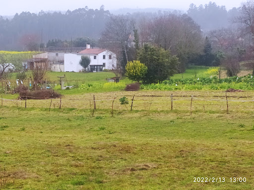 Casa Brea - Visual