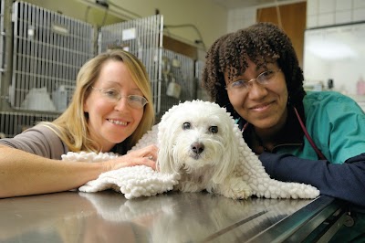 Photos of University of Illinois Veterinary Teaching Hospital