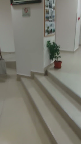 Ханче Делвите Работно време
