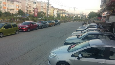 car-dealer