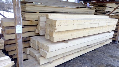Photos of T.R Arbor