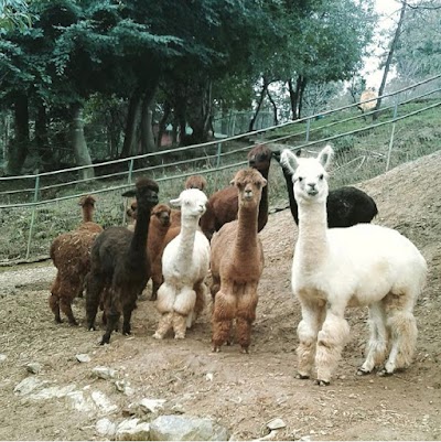 Polonezköy Zoo - Doğal Yaşam Parkı