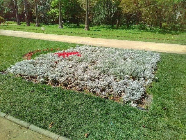 Jardin Botanique du Hamma