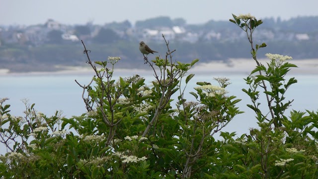 Île des Hébihens