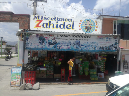 Miscelánea Zahidel Gallery - Mexico