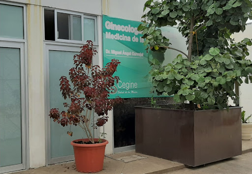 CEGINE - Visual