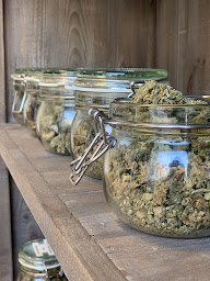 Photo n°5 de Terra CBD Nort-Sur-Erdre à Nort-sur-Erdre (Magasin de cannabis)