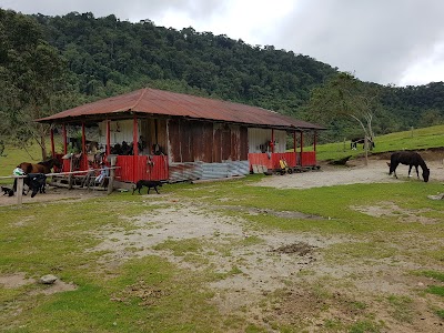 Photos of Cr&aacute;ter Volc&aacute;n Del Machin