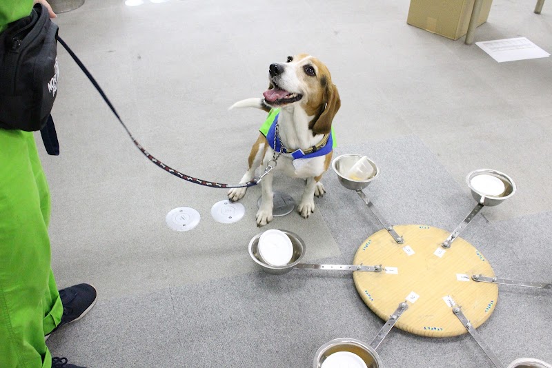 アサンテ 甲府営業所