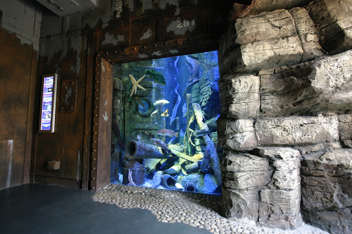 Nautilus Attraction Developments - Visual