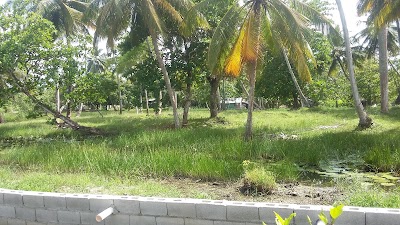 Photos of Caba&ntilde;as El Paraiso