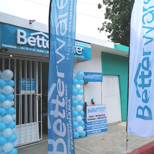 BETTERWARE Y SHEIN CHIAPAS