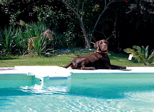 Photo n°8 de Piscines Desjoyaux à Pertuis (Magasin de matériel pour piscines)