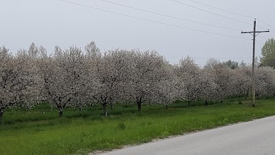Photos of Stonehedge Golf Course