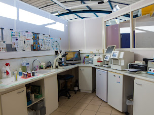 Photo n°4 de Clinique Vétérinaire Midi Quercy à Nègrepelisse (Clinique vétérinaire)