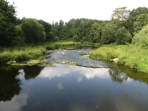 Monkey bridge