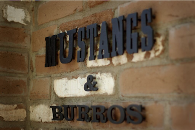 Photos of Mustangs & Burros