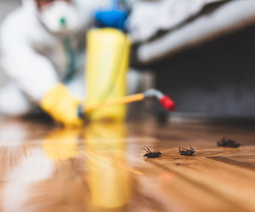 Marmaris Pest Control - Marmaris İlaçlama