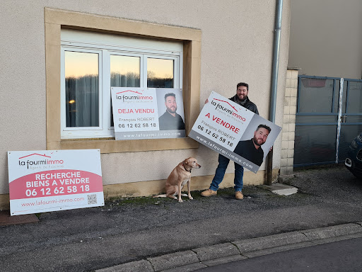 François ROBERT Consultant immobilier Thionville