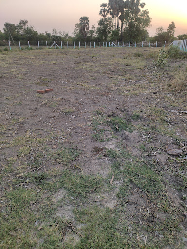 Gallery image 7