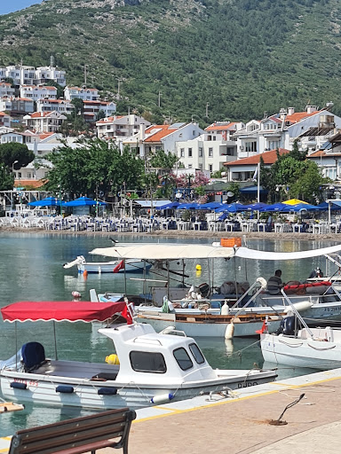 Demlik Camping ve Apart