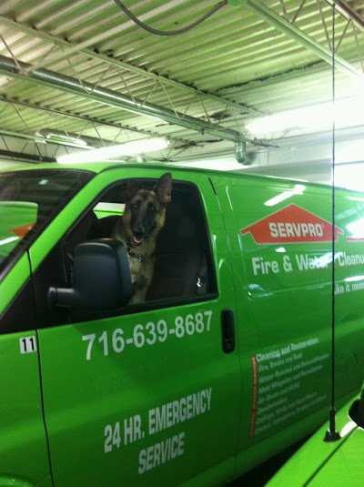 SERVPRO of Buffalo / Tonawanda