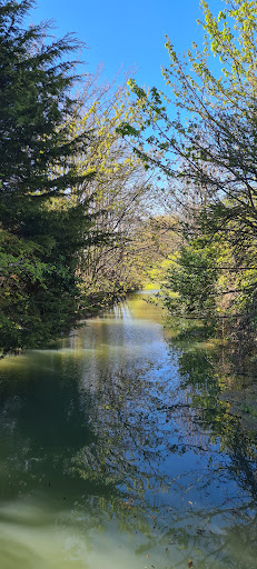 River Freshney - Thumbnail
