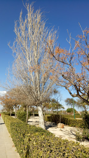 Parque Begona - Thumbnail