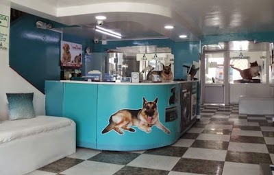 Photos of ANIMALS HOME