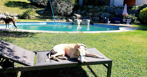 Hotel para perros Les Oliveres Rural Can