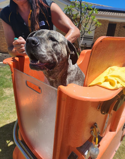 Petbarn Mobile Dog Wash Marangaroo - Thumbnail