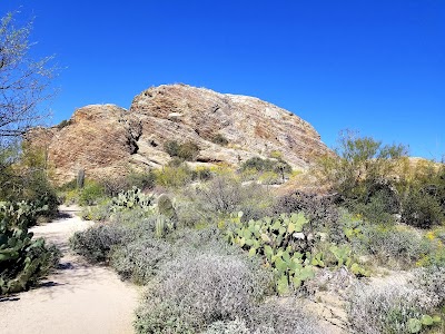 Javelina Rocks - Saguaro National Park (East)