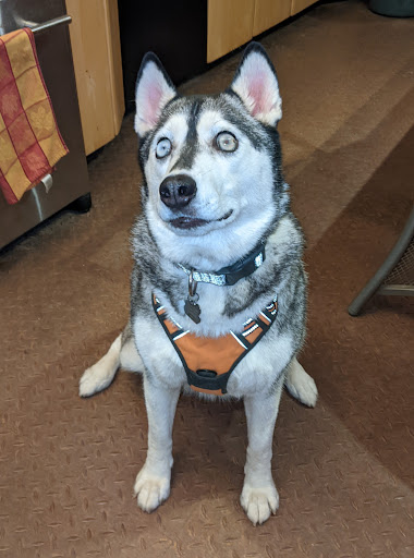 Noah's Arf - Visual