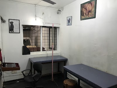 Photos of PetVet Clinic