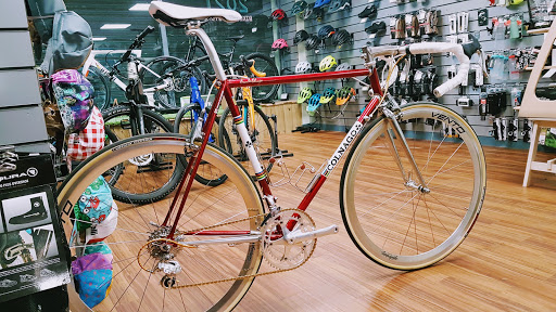 Cycle-Space - Visual