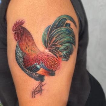 The Apollo Tattoo & Piercing Studio by null
