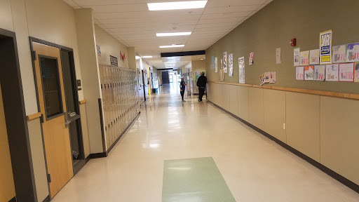 Timber Ridge School - Visual