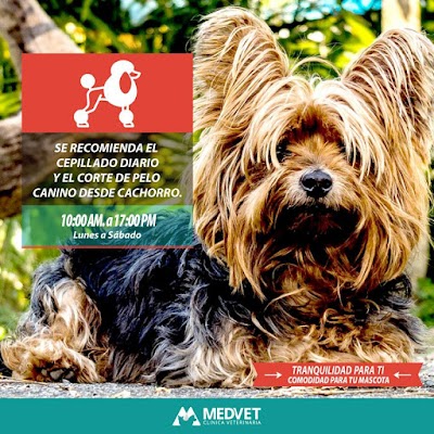 Photos of Veterinary Clinic MedVet