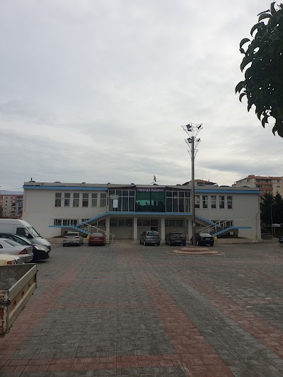 Gjorgji Kyçyku Stadium