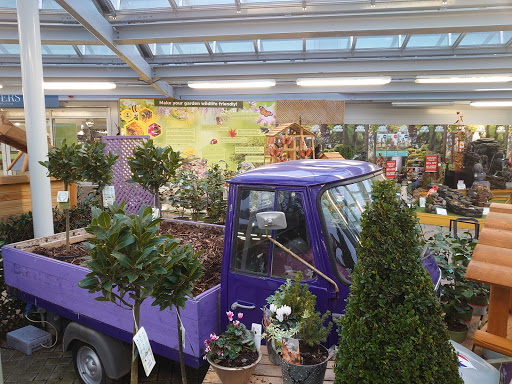 Hayes Garden Centre - Thumbnail