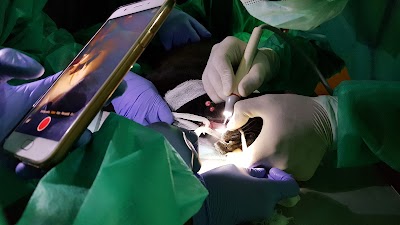 Photos of Airlangga University Veterinary Hospital Education