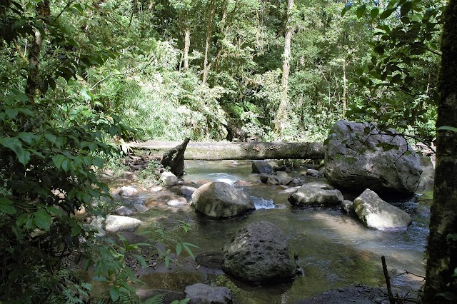 Monteverde Cloud Forest Reserve