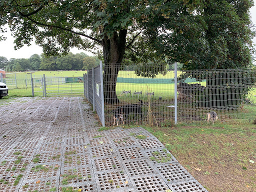 Pockthorpe Dog Park - Thumbnail